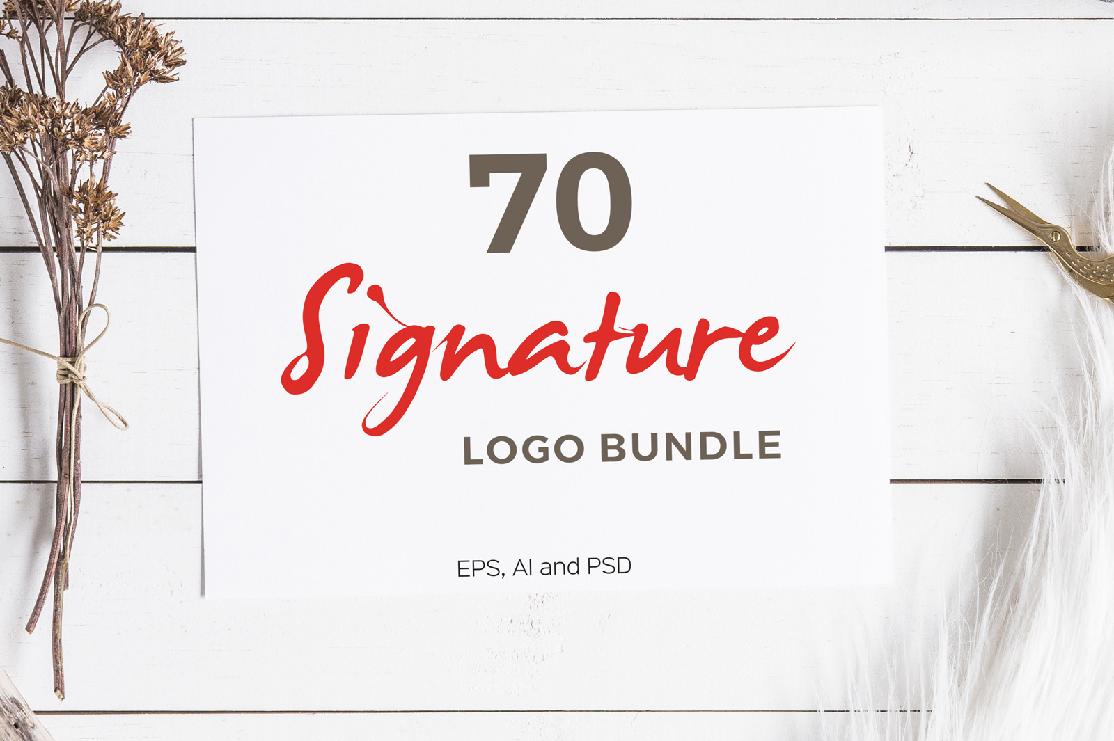 70 Signature Logo Bundle