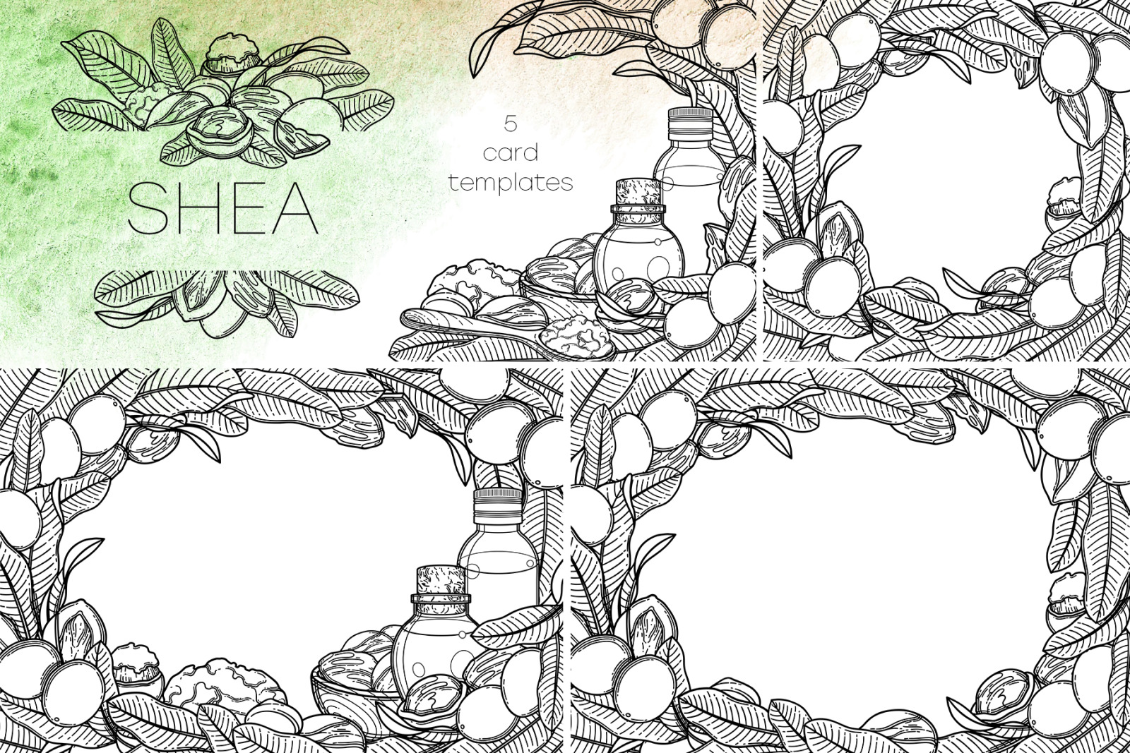 Shea - vector graphics Shea - vector graphics