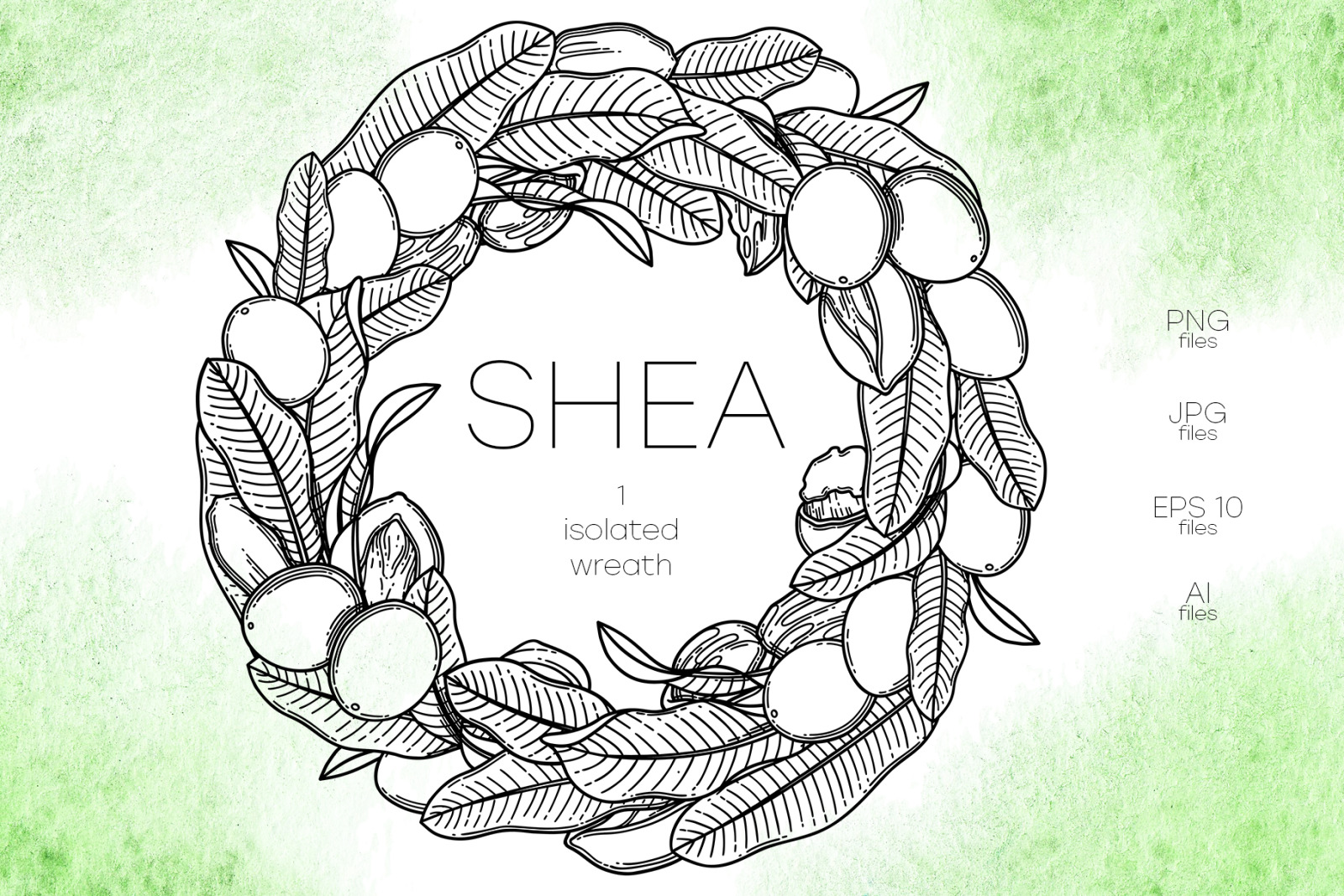 Shea - vector graphics