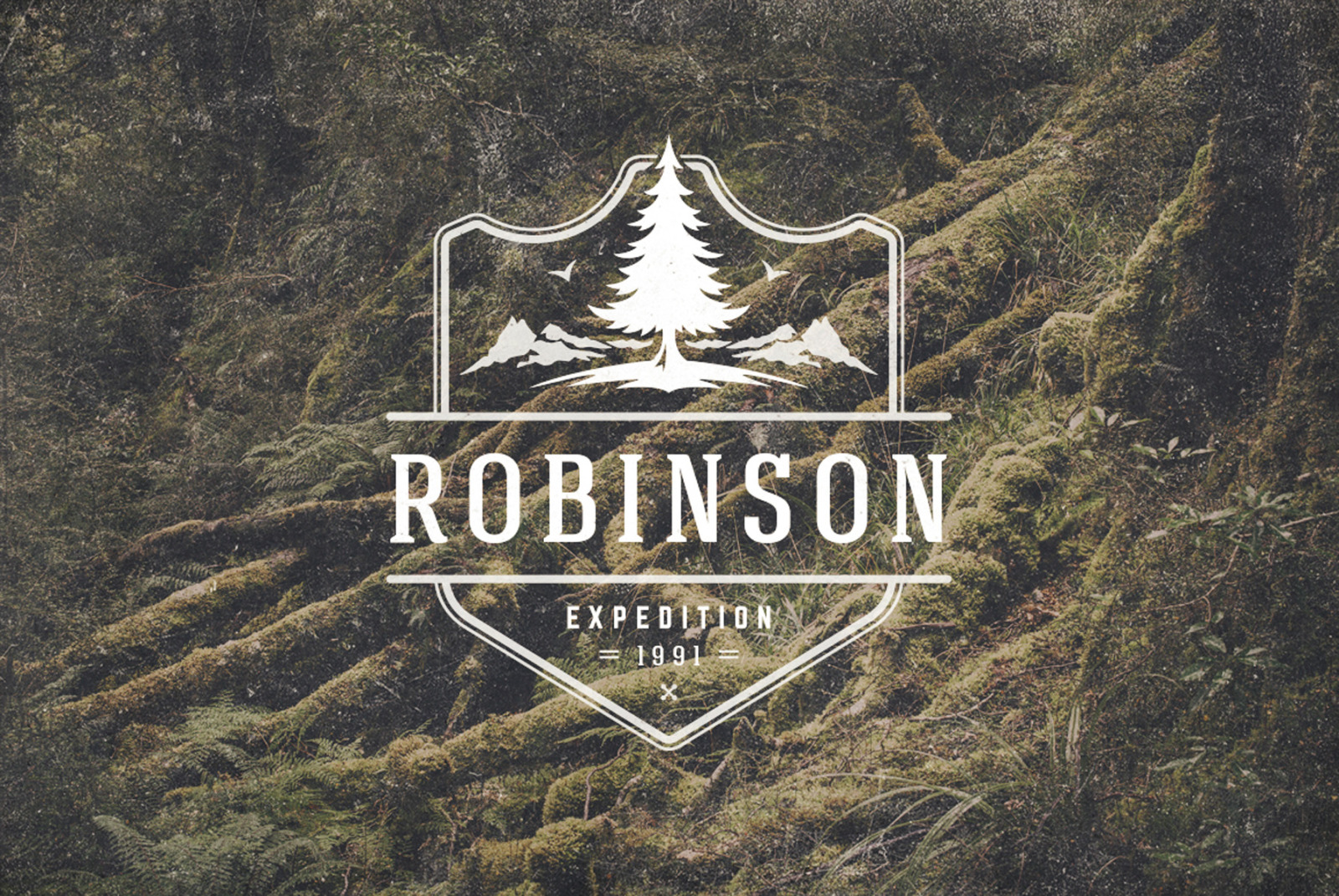 50 Outdoor logos and badges