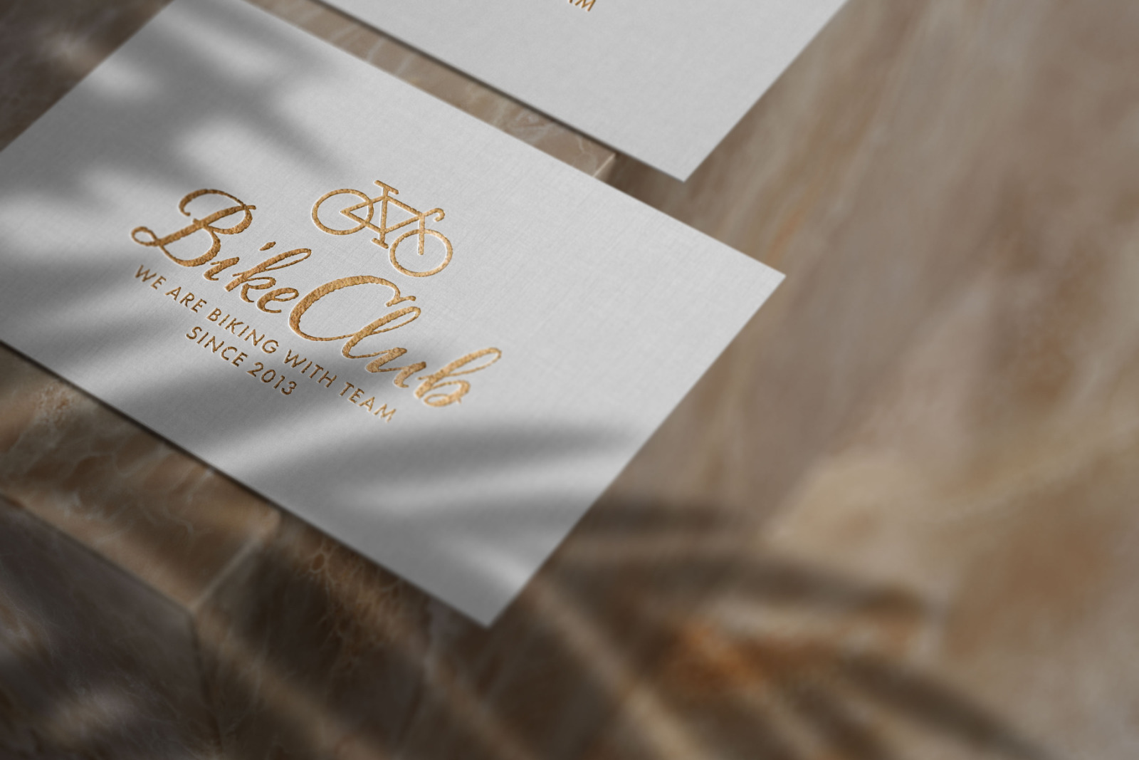 Elegant Luxury Logo Mockup Set Elegant Luxury Logo Mockup Set