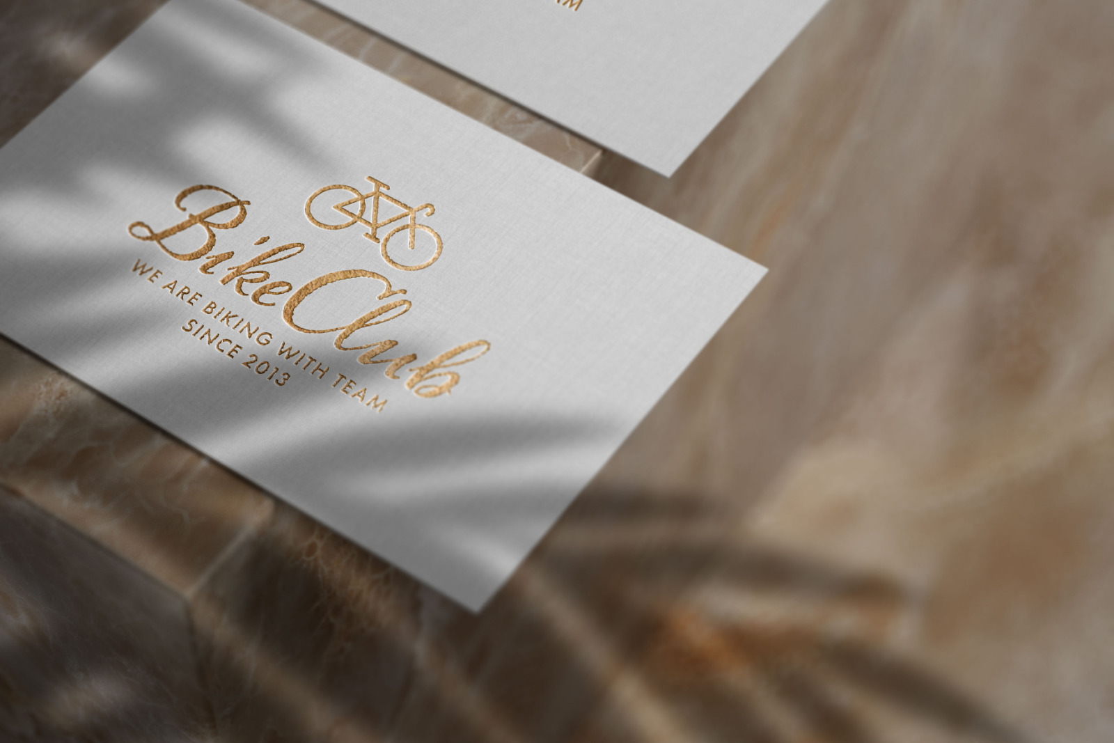 Elegant Luxury Logo Mockup Set