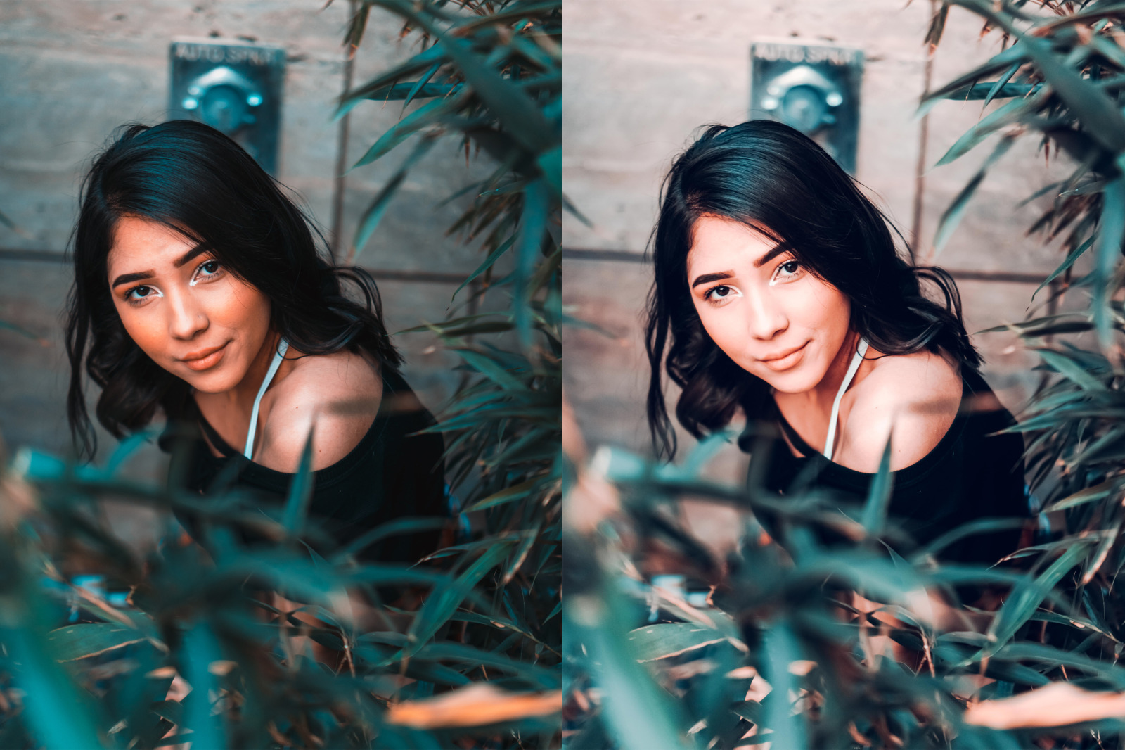 My Perfect Makeup Lightroom Desktop Presets