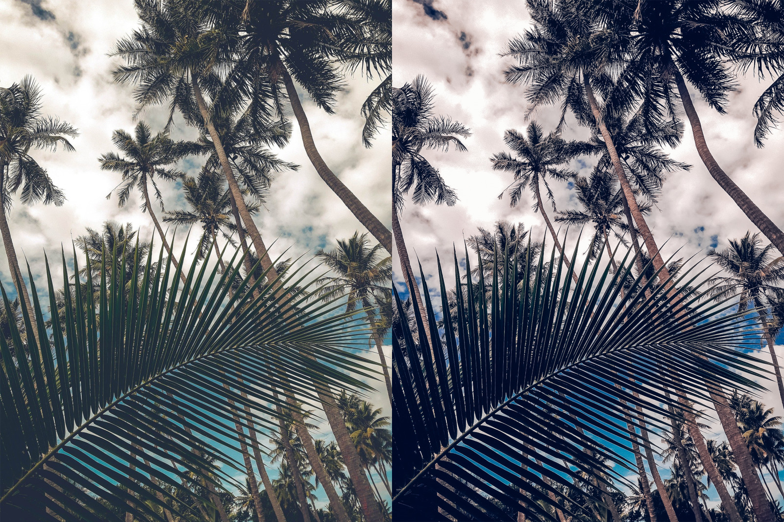 Summer Vibes Only! Color Pop Lightroom Desktop Presets