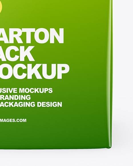 Glossy Carton Package Mockup