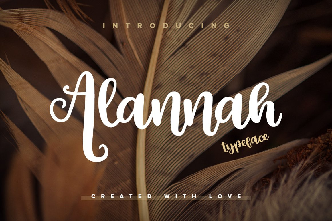 Alannah Script Font Alannah Script Font