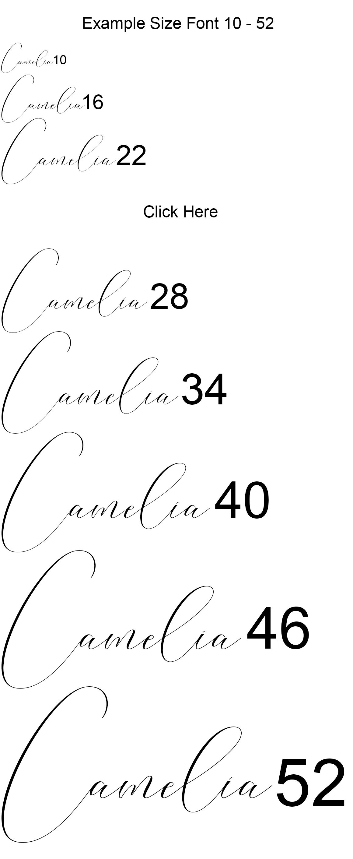 Washington Calligraphy Modern Washington Calligraphy Modern