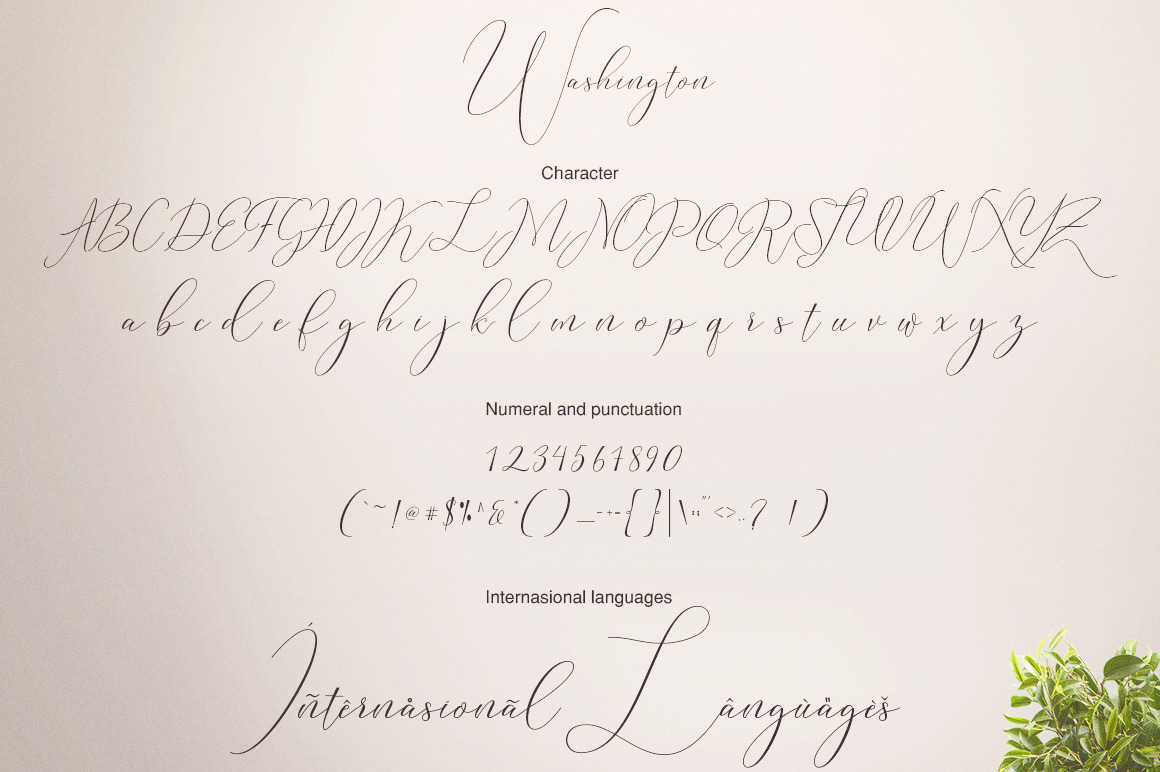 Washington Calligraphy Modern