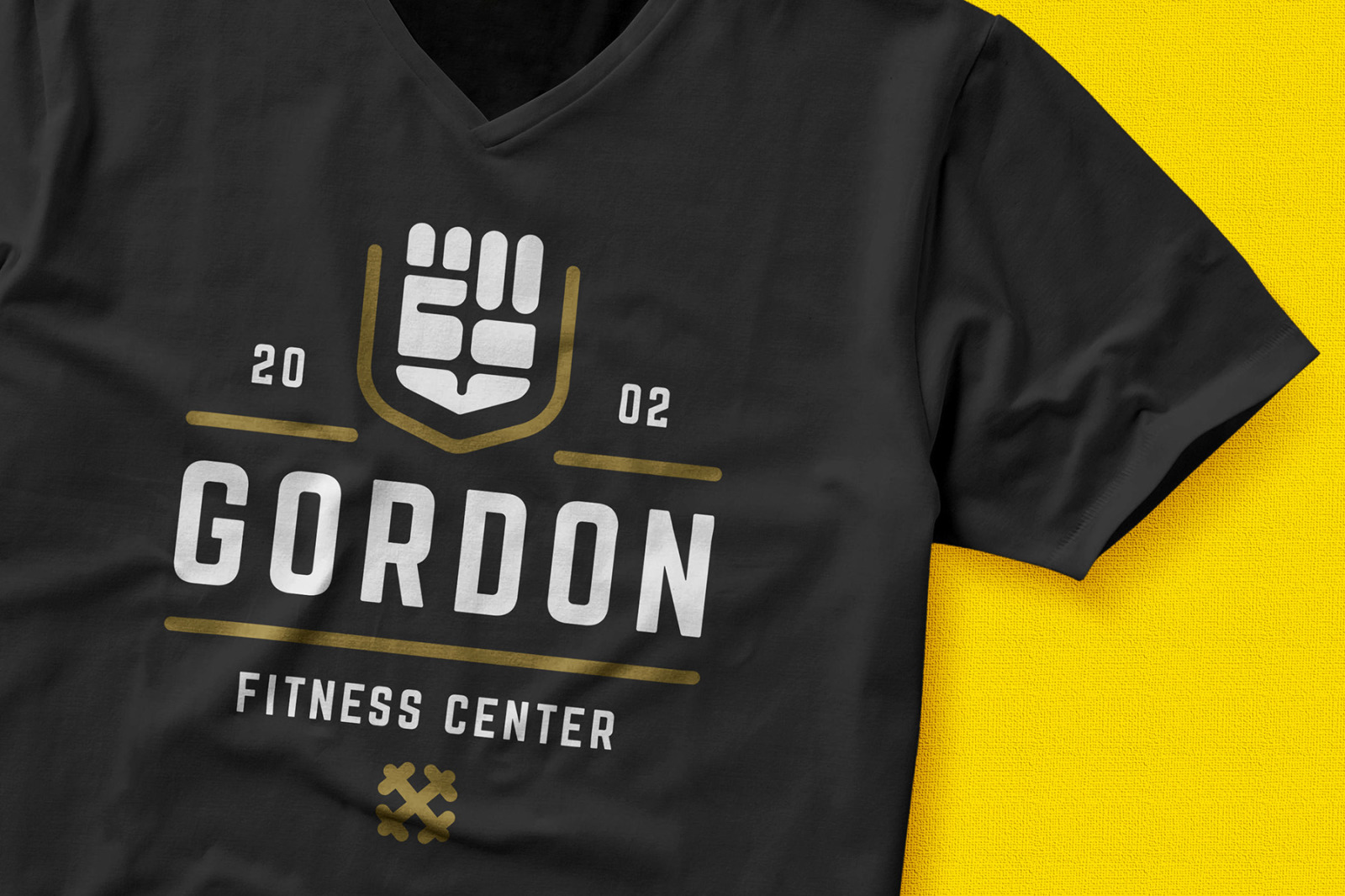 Retro Fitness &amp; Gym Logos Set