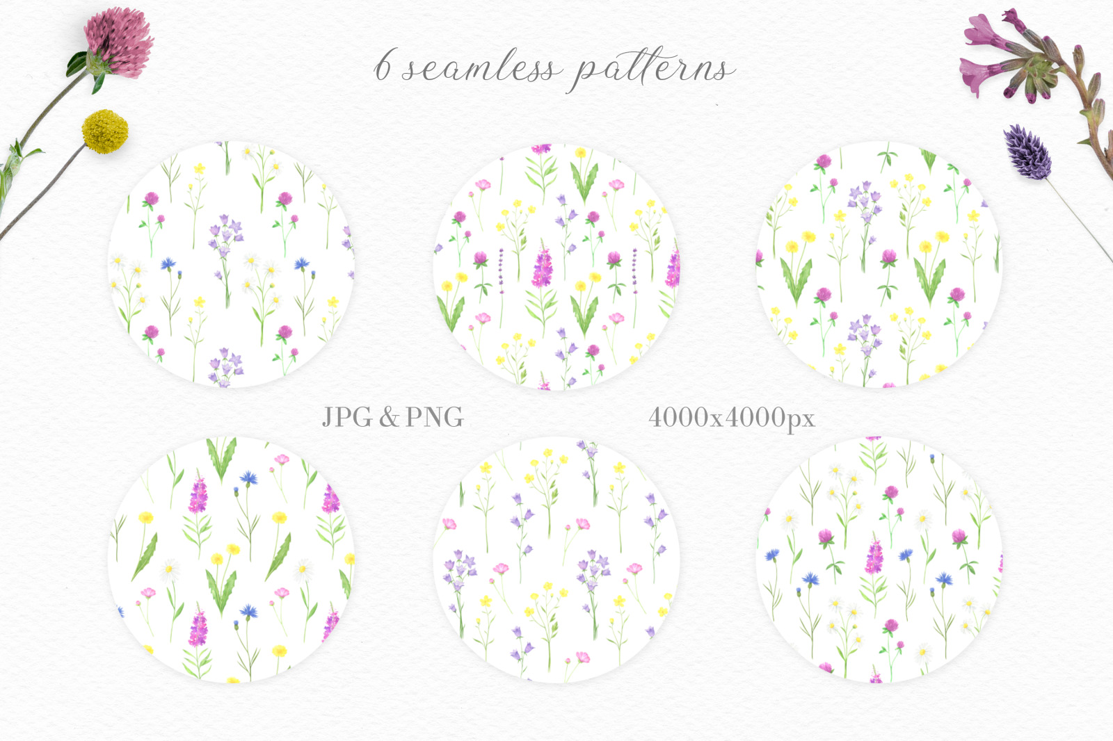 Summer Wildflowers Watercolor Collection Summer Wildflowers Watercolor Collection