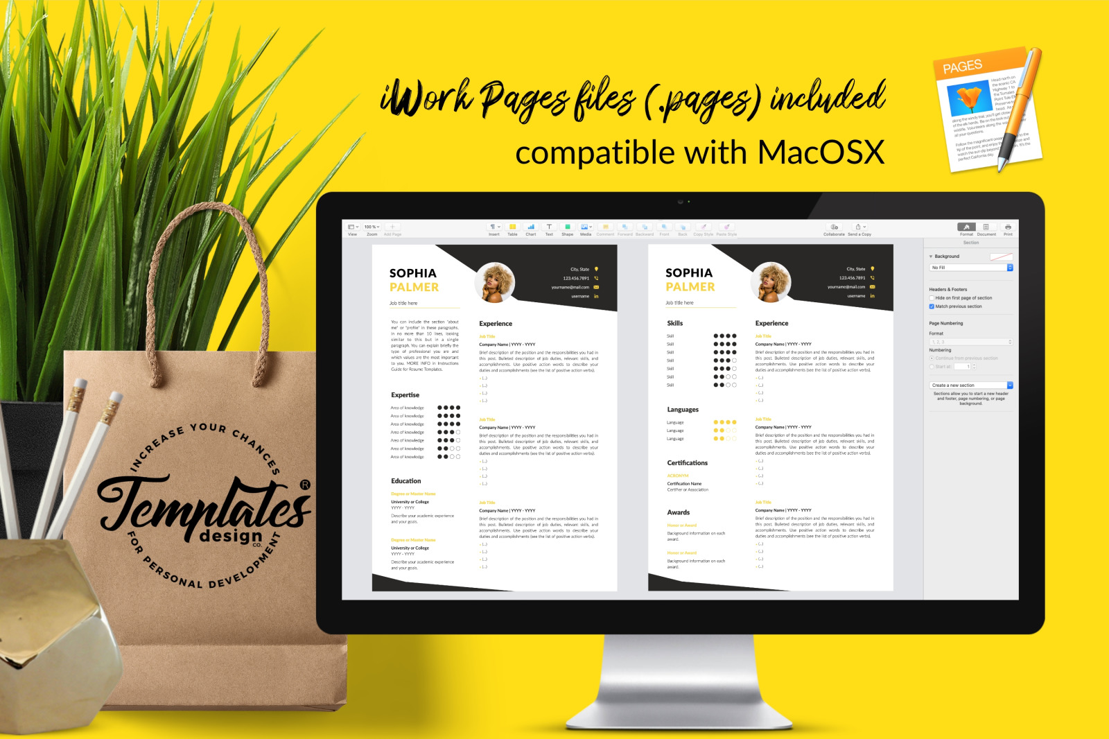 Modern Resume Template for Microsoft Word &amp; Apple Pages // Sophia Palmer CV Design Template