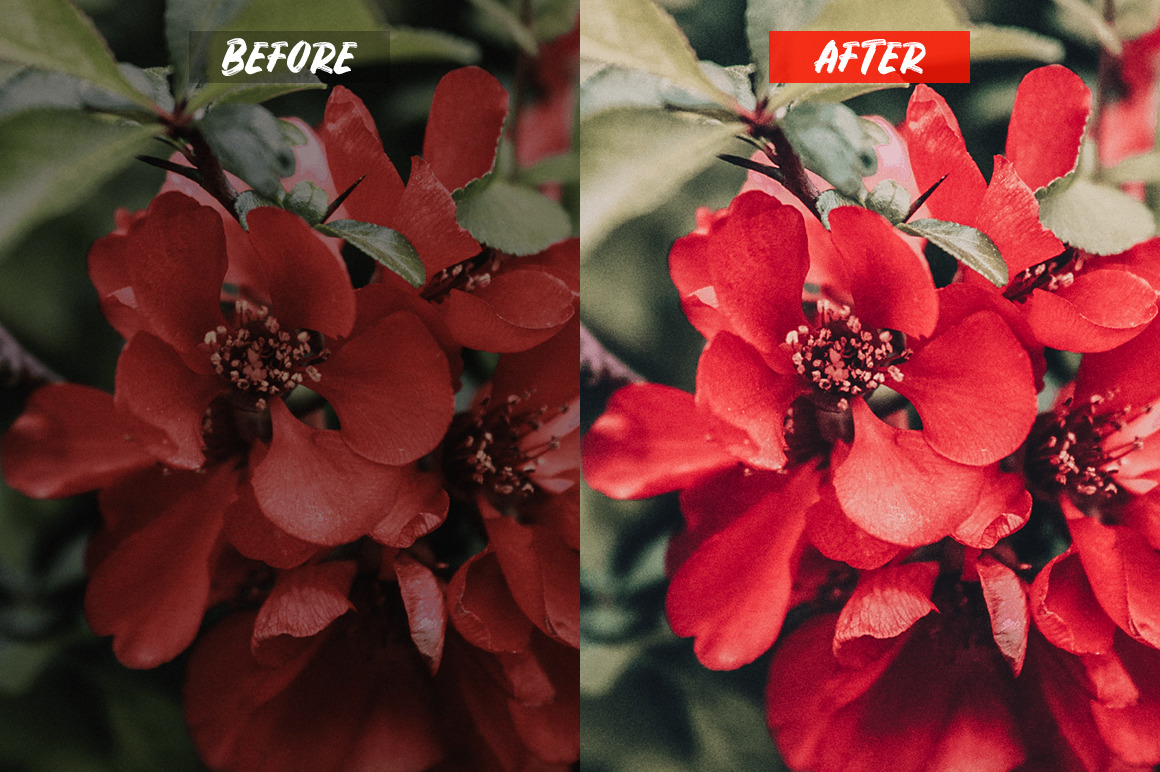Passion Lightroom Presets Passion Lightroom Presets
