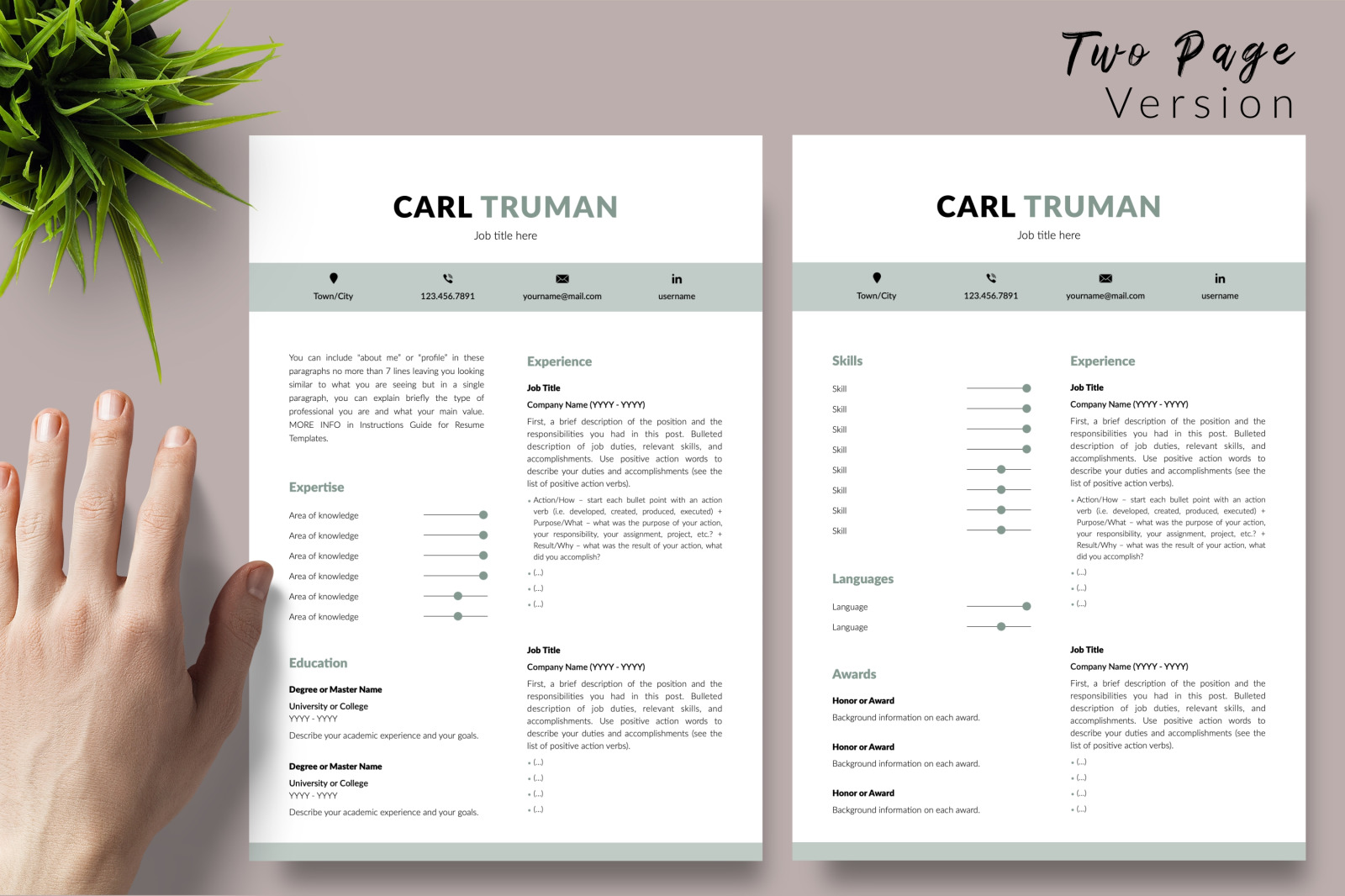 Modern Resume Template for Microsoft Word &amp; Apple Pages // Carl Truman CV Design Template