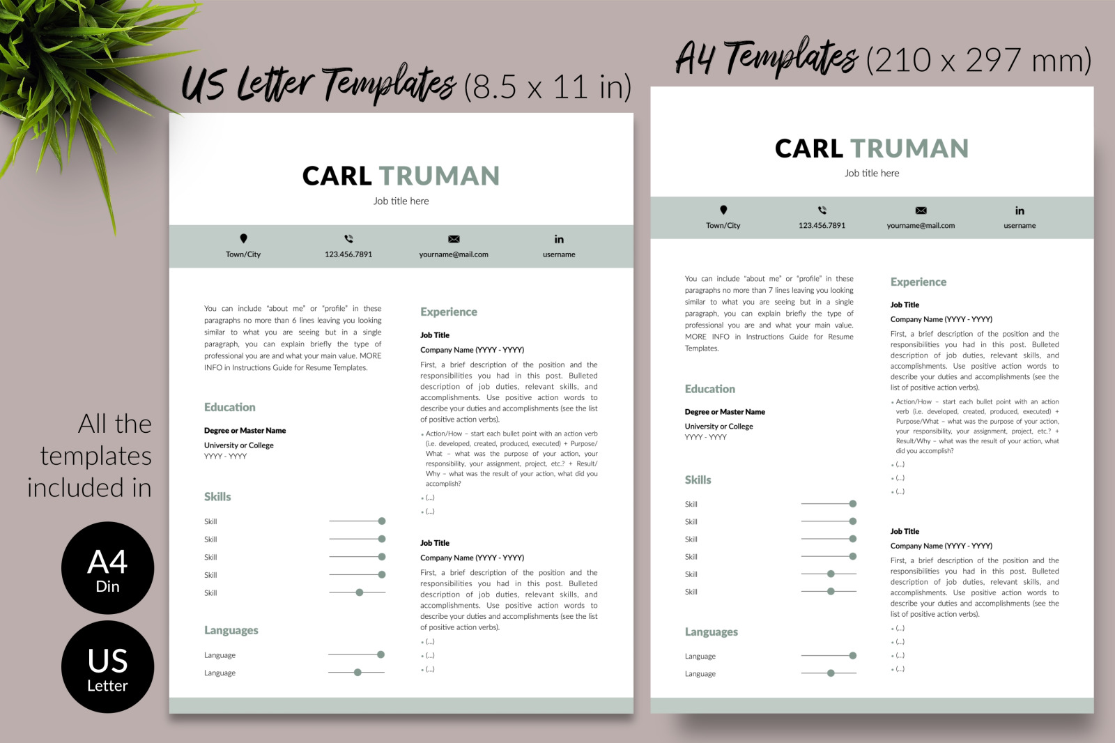 Modern Resume Template for Microsoft Word &amp; Apple Pages // Carl Truman CV Design Template