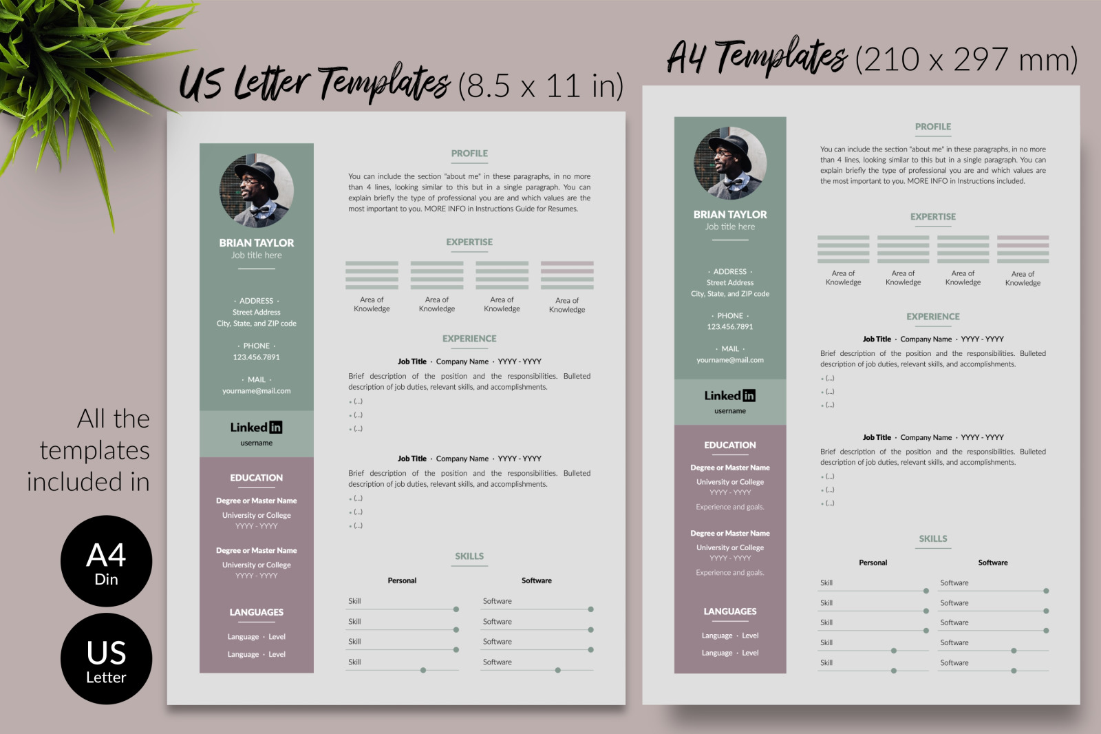 Modern Resume Template for Microsoft Word &amp; Apple Pages // Brian Taylor CV Design Template