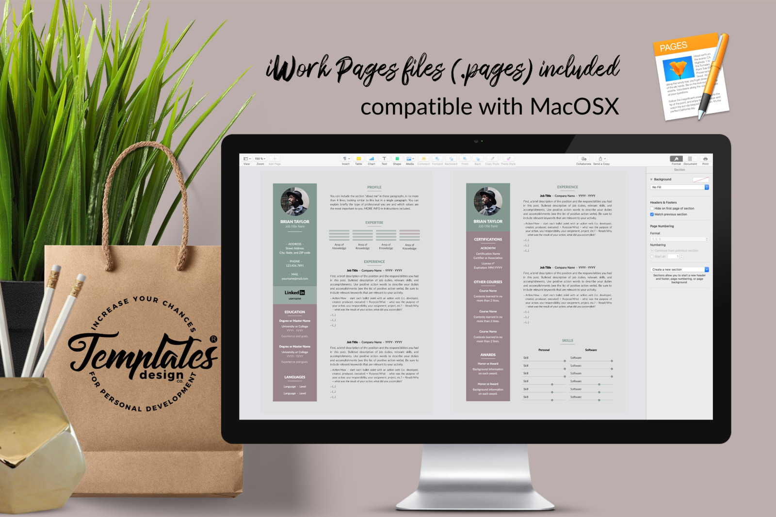 Modern Resume Template for Microsoft Word &amp; Apple Pages // Brian Taylor CV Design Template