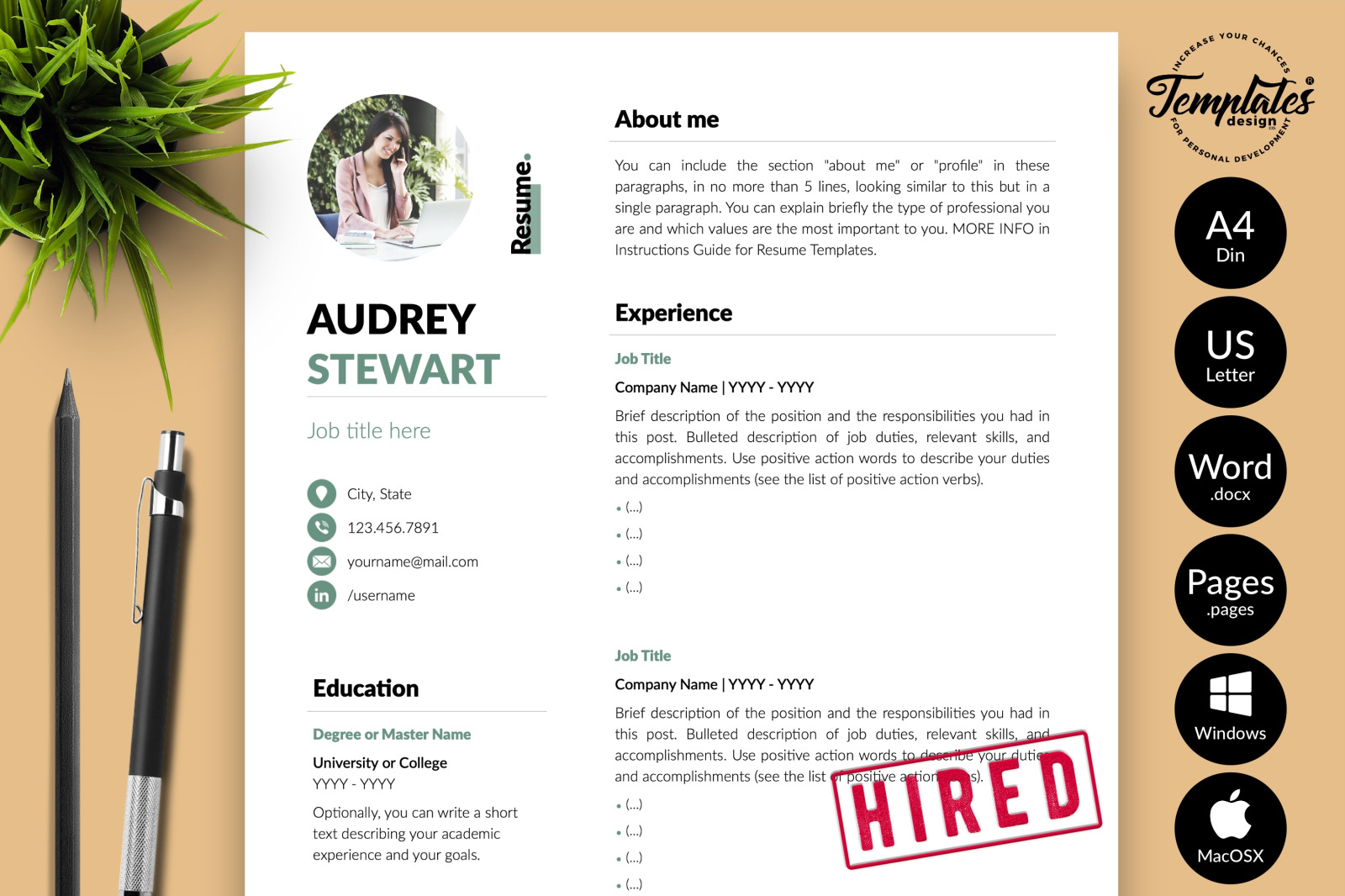 Modern Resume Template for Microsoft Word &amp; Apple Pages // Audrey Stewart CV Design Template