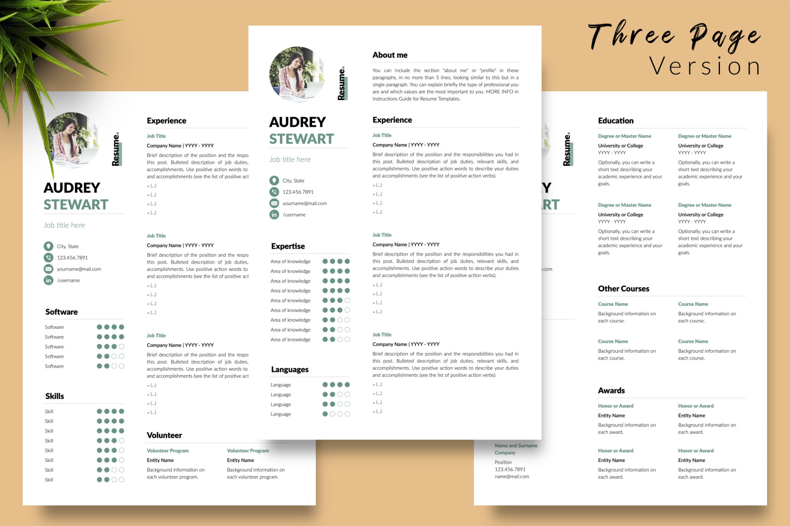 Modern Resume Template for Microsoft Word &amp; Apple Pages // Audrey Stewart CV Design Template