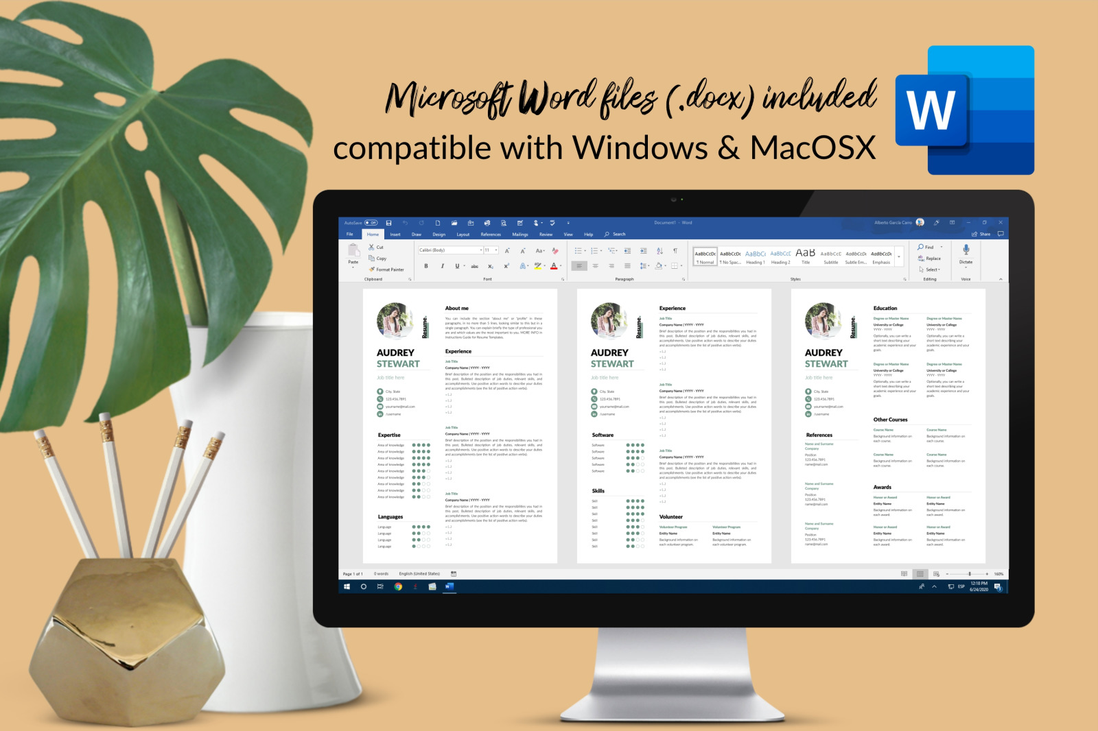Modern Resume Template for Microsoft Word &amp; Apple Pages // Audrey Stewart CV Design Template
