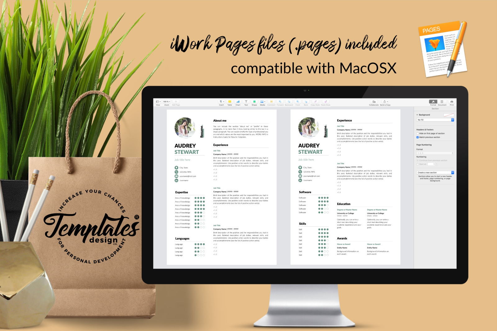 Modern Resume Template for Microsoft Word &amp; Apple Pages // Audrey Stewart CV Design Template