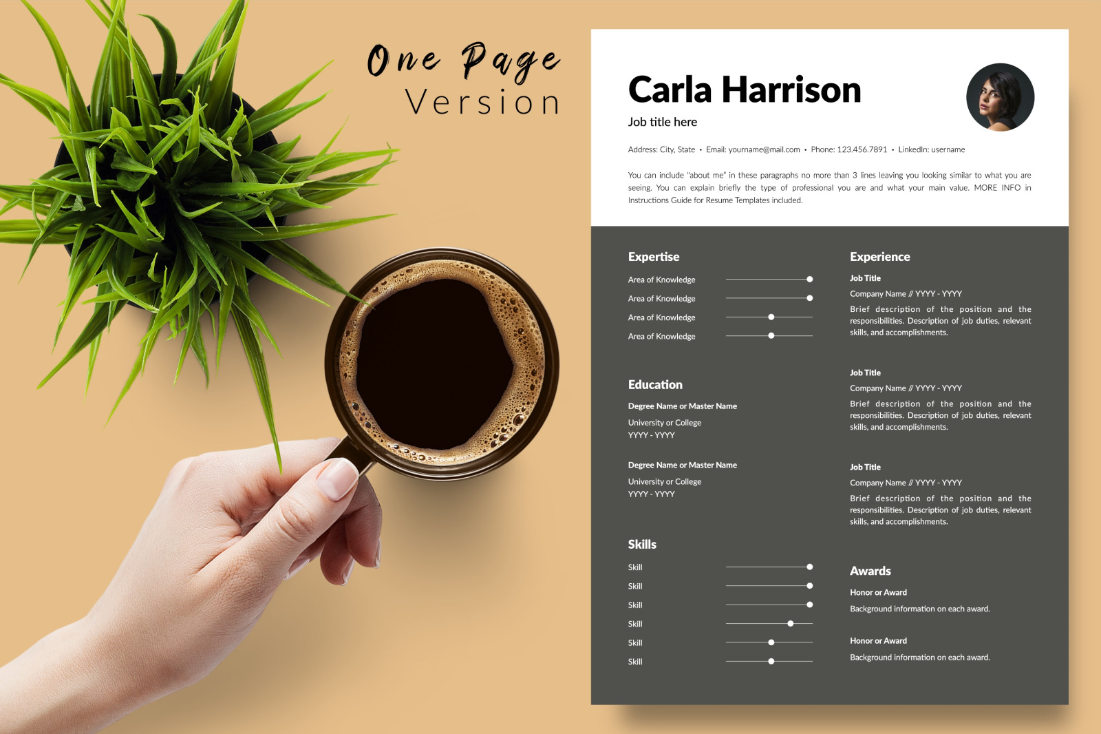 Modern Resume Template for Microsoft Word &amp; Apple Pages // Carla Harrison CV Design Template