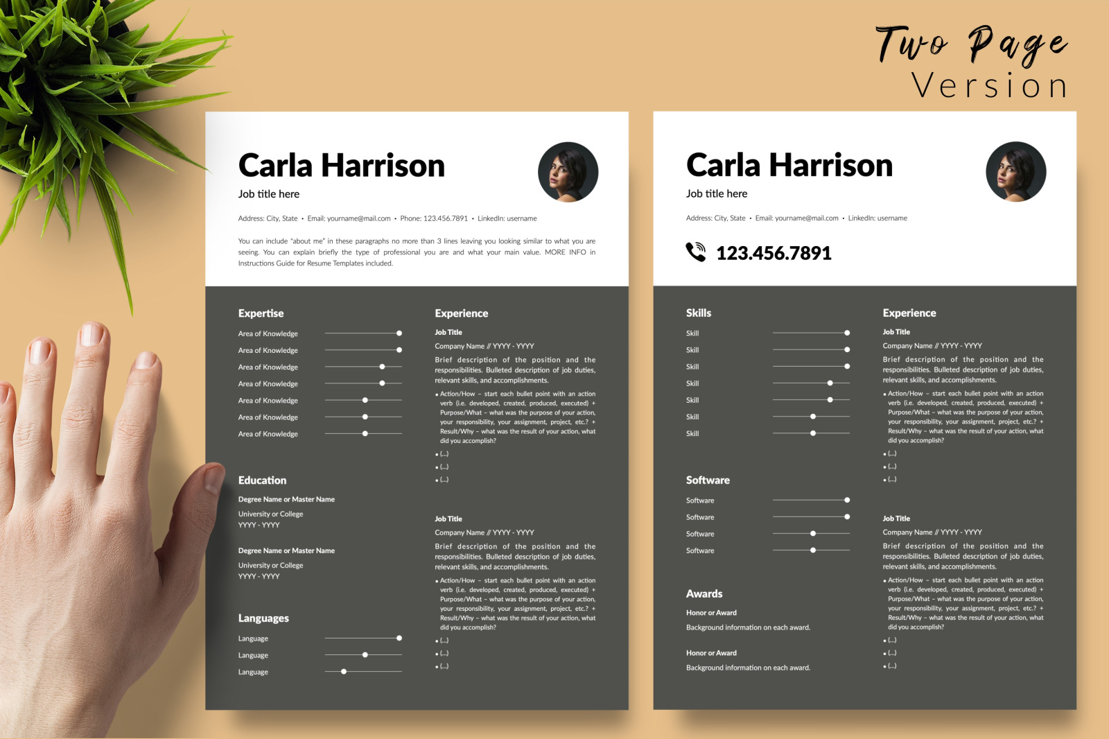 Modern Resume Template for Microsoft Word &amp; Apple Pages // Carla Harrison CV Design Template