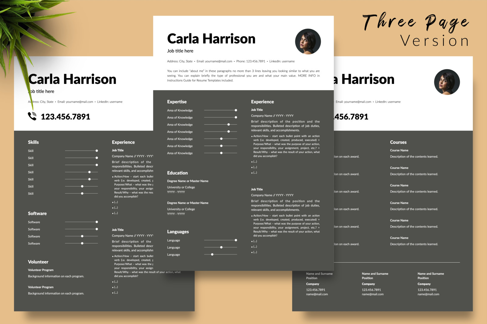 Modern Resume Template for Microsoft Word &amp; Apple Pages // Carla Harrison CV Design Template