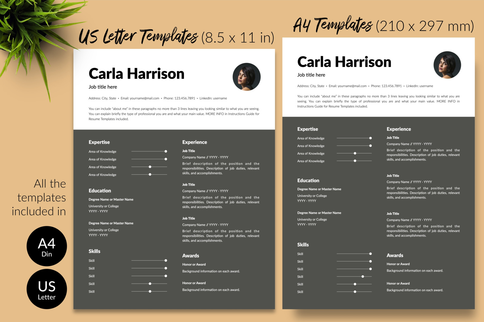 Modern Resume Template for Microsoft Word &amp; Apple Pages // Carla Harrison CV Design Template