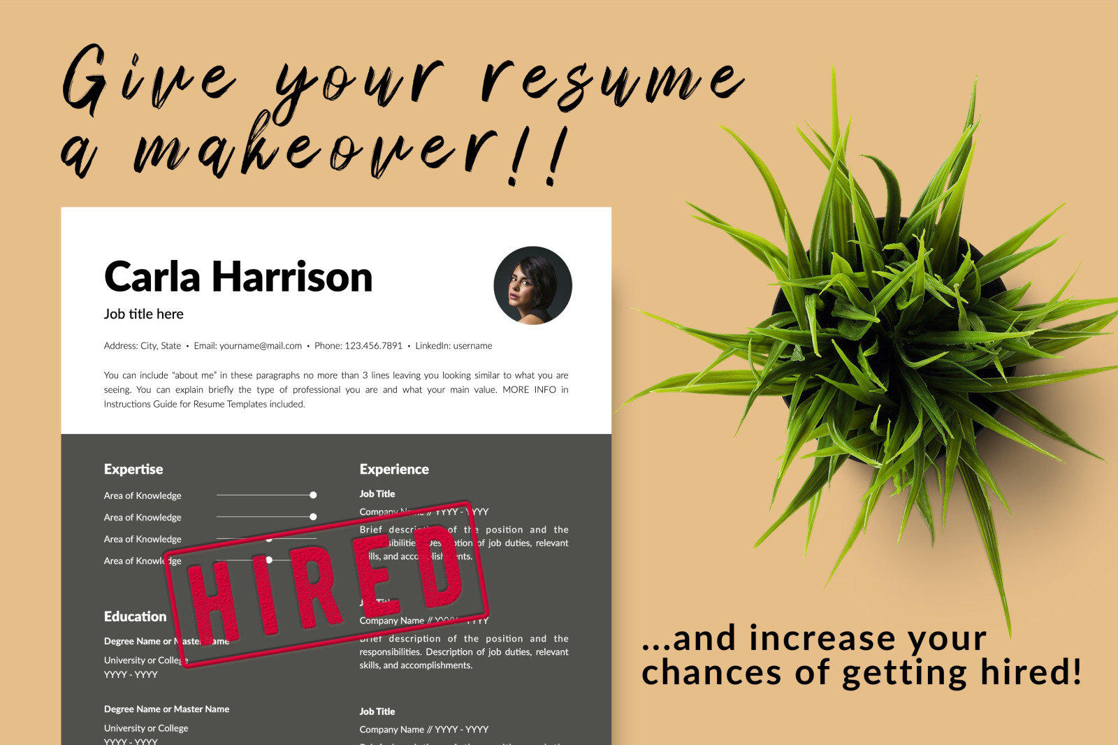 Modern Resume Template for Microsoft Word &amp; Apple Pages // Carla Harrison CV Design Template