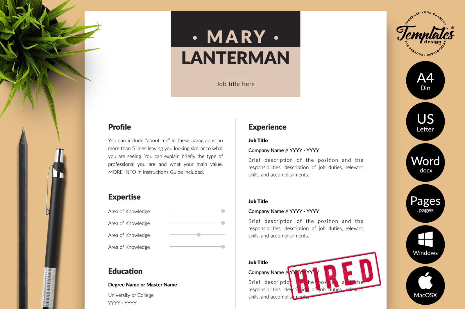 Modern Resume Template for Microsoft Word &amp; Apple Pages // Mary Lanterman CV Design Template