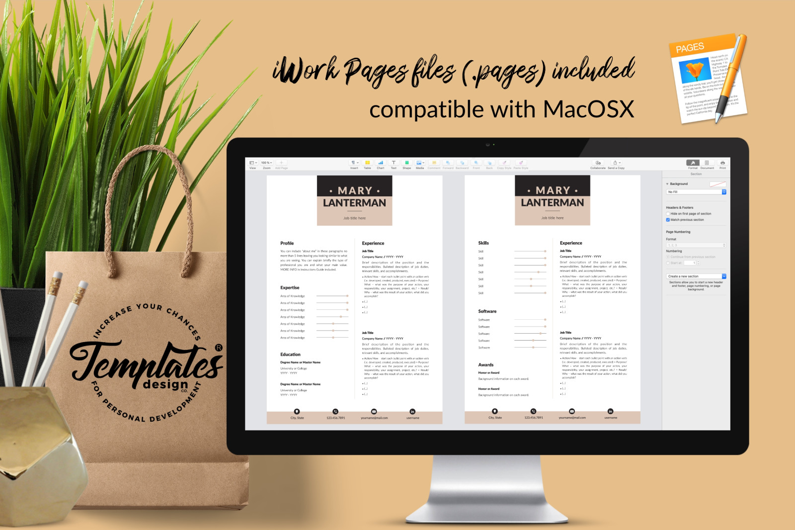 Modern Resume Template for Microsoft Word &amp; Apple Pages // Mary Lanterman CV Design Template