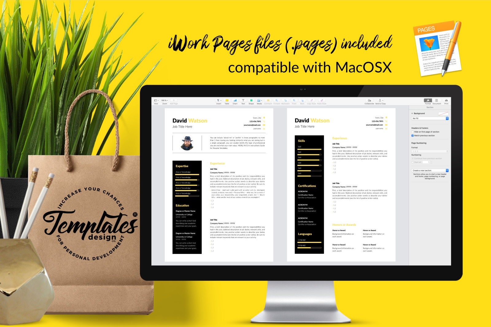 Creative Resume Template for Microsoft Word &amp; Apple Pages // David Watson CV Design Template