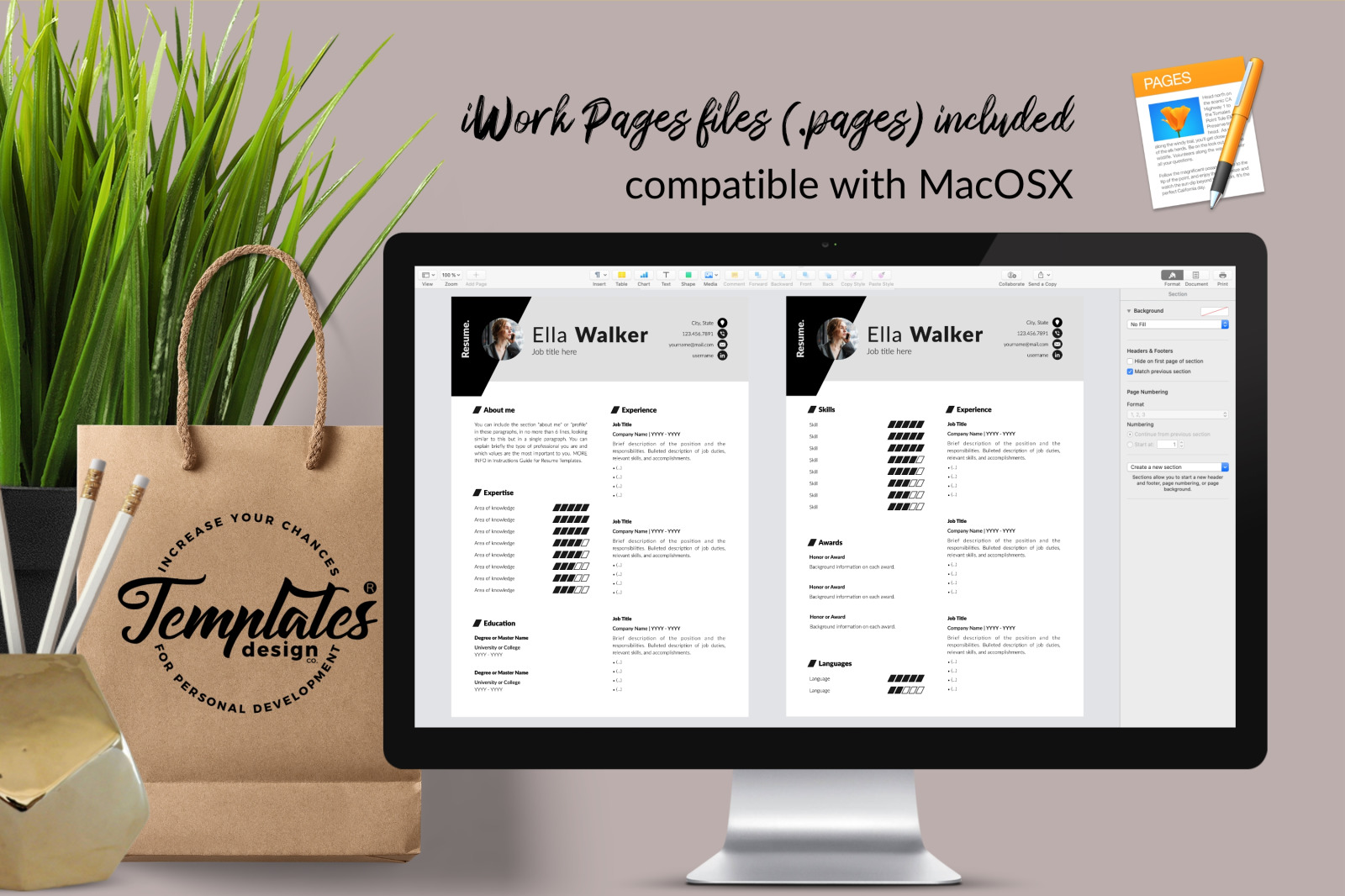 Creative Resume Template for Microsoft Word &amp; Apple Pages // Ella Walker CV Design Template