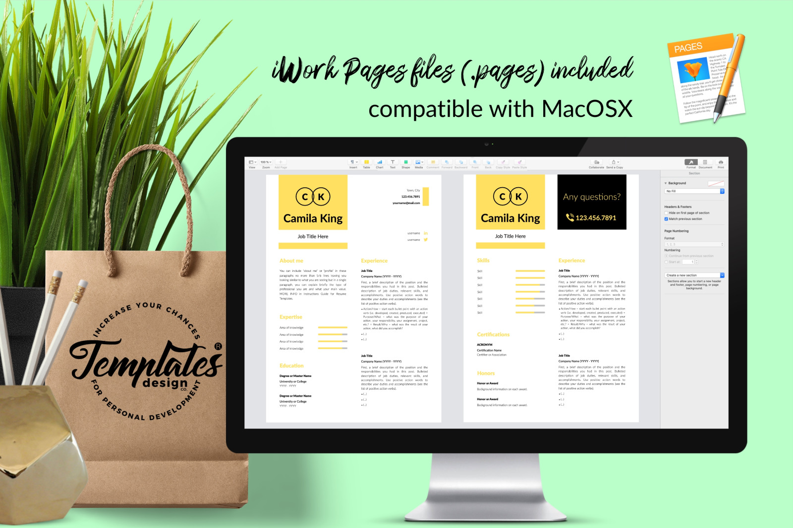 Modern Resume Template for Microsoft Word &amp; Apple Pages // Camila King CV Design Template