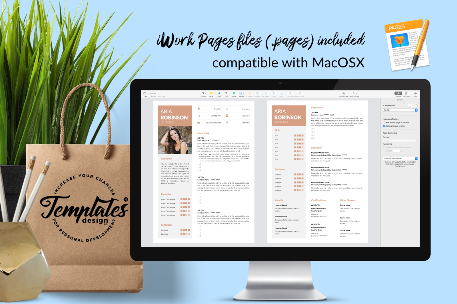 Creative Resume Template for Microsoft Word & Apple Pages // Aria Robinson CV Design Template Creative Resume Template for Microsoft Word & Apple Pages // Aria Robinson CV Design Template
