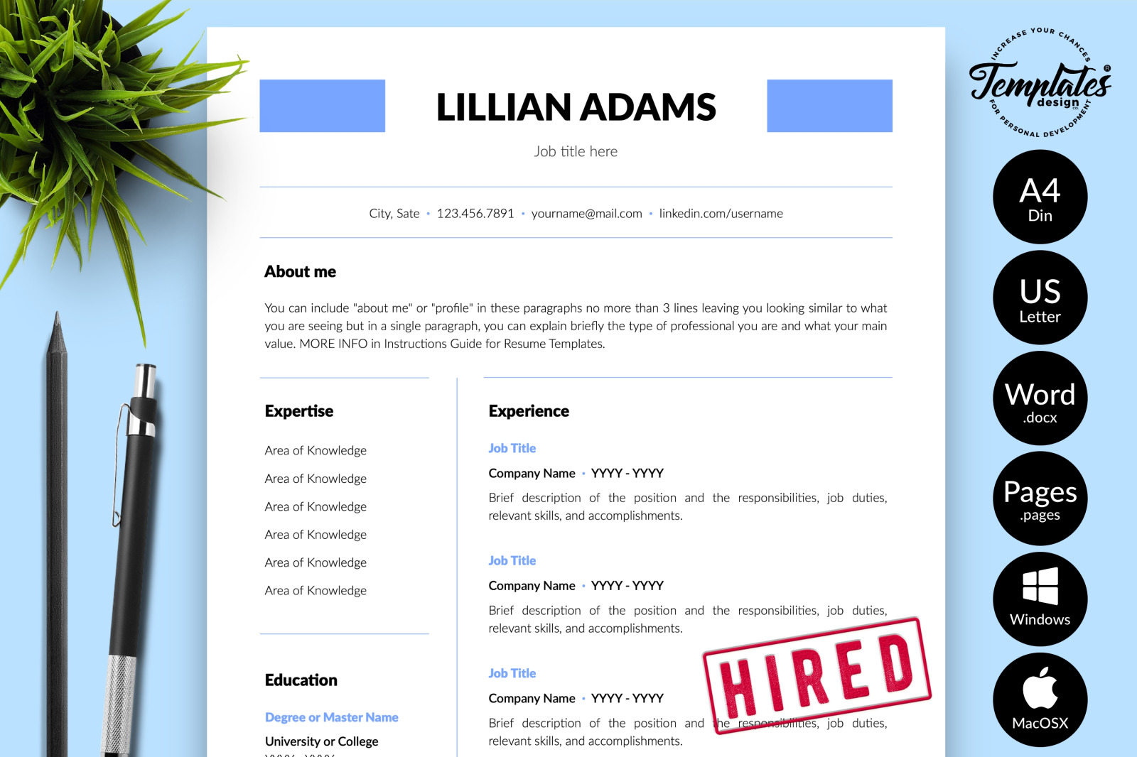 Simple Resume Template for Microsoft Word &amp; Apple Pages // Lillian Adams CV Design Template