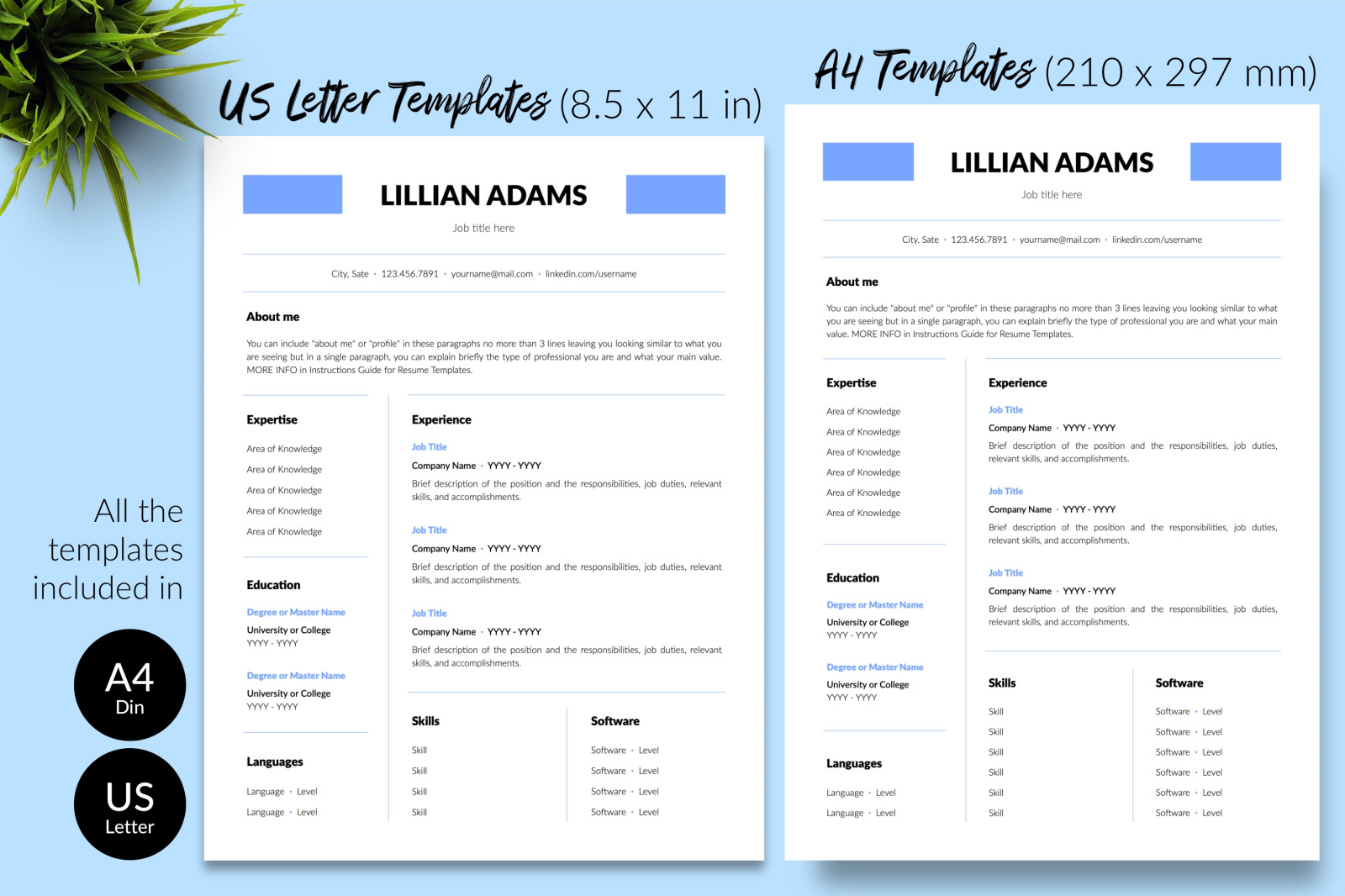 Simple Resume Template for Microsoft Word &amp; Apple Pages // Lillian Adams CV Design Template