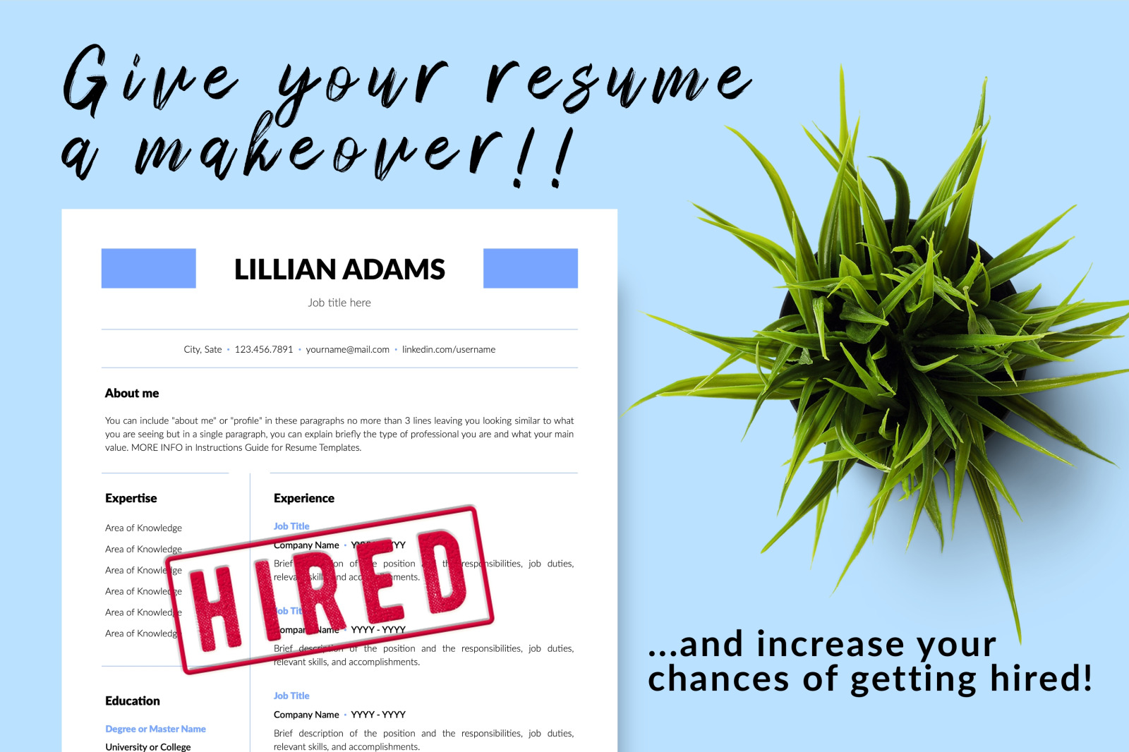 Simple Resume Template for Microsoft Word &amp; Apple Pages // Lillian Adams CV Design Template