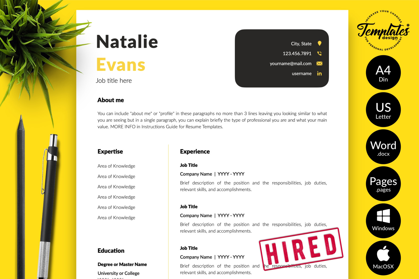 Simple Resume Template for Microsoft Word &amp; Apple Pages // Natalie Evans CV Design Template