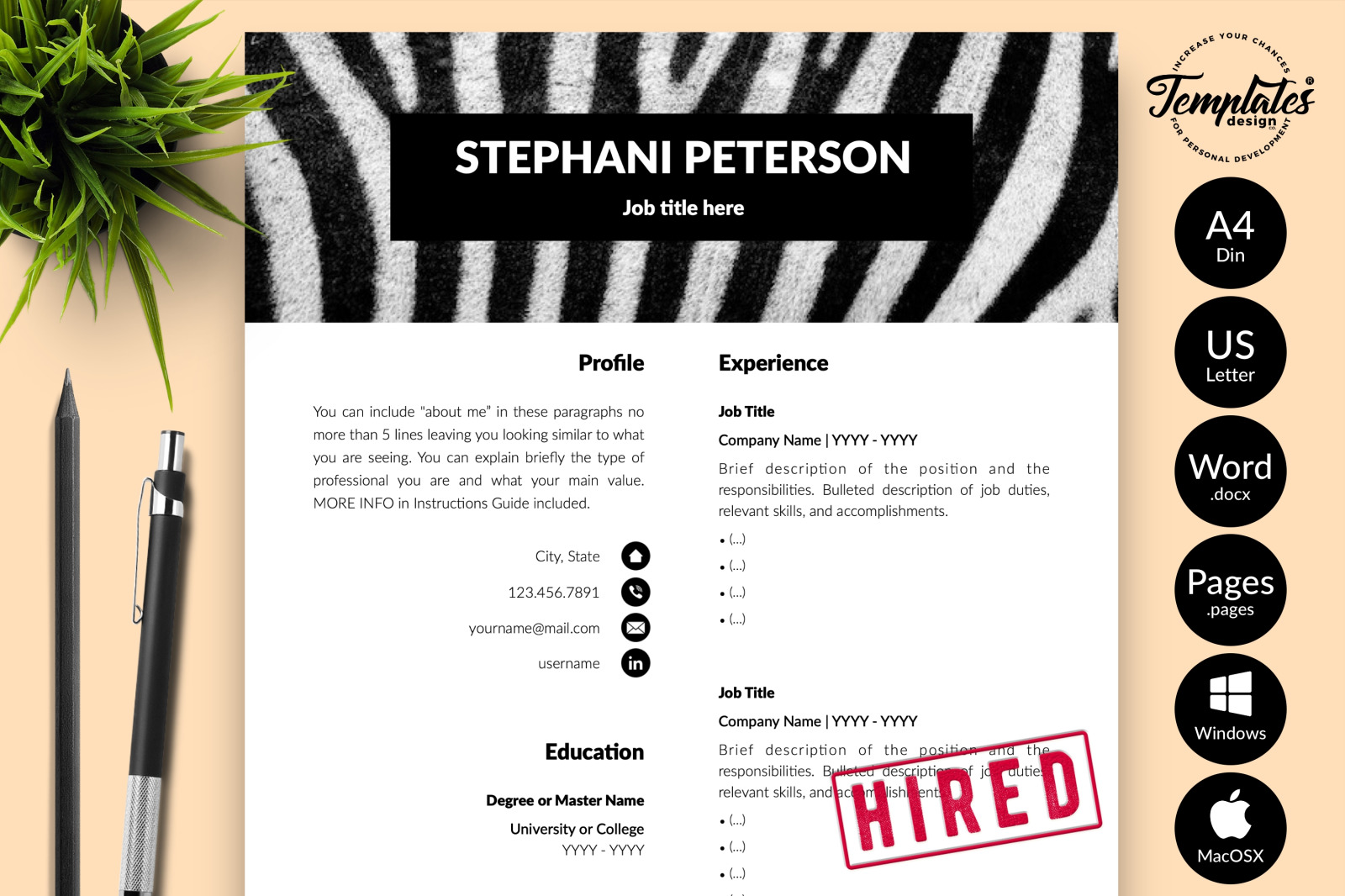 Animal Care Resume Template for Microsoft Word &amp; Apple Pages // Stephani Peterson CV Design Template