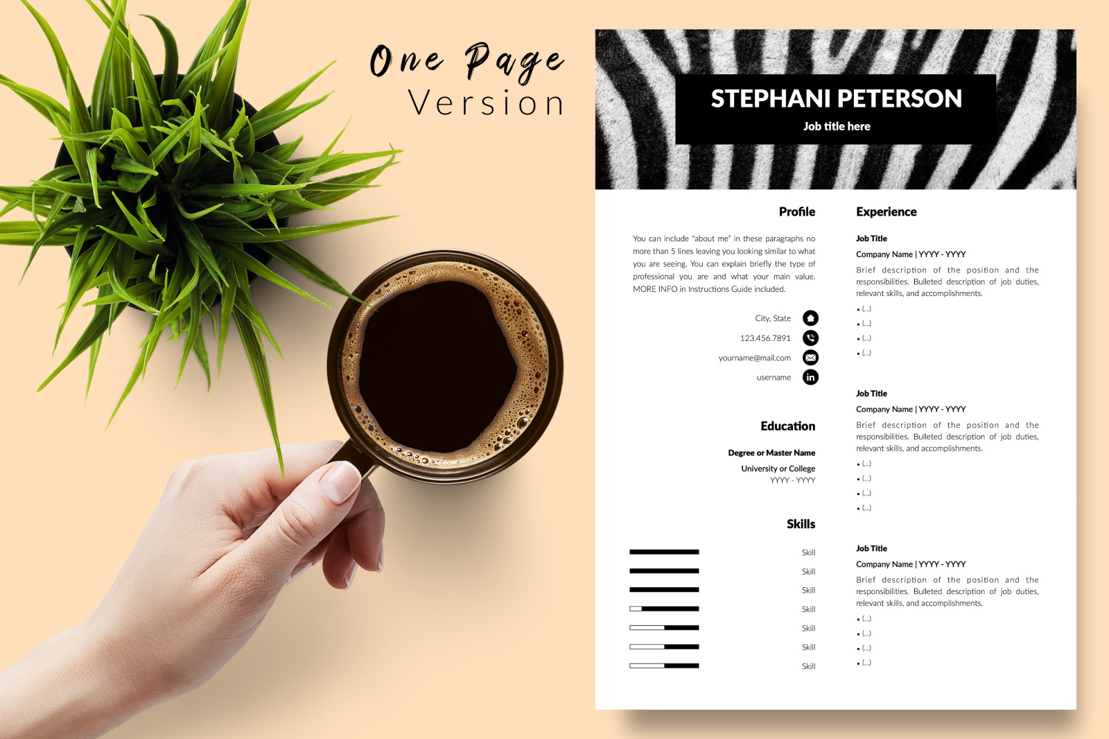 Animal Care Resume Template for Microsoft Word &amp; Apple Pages // Stephani Peterson CV Design Template