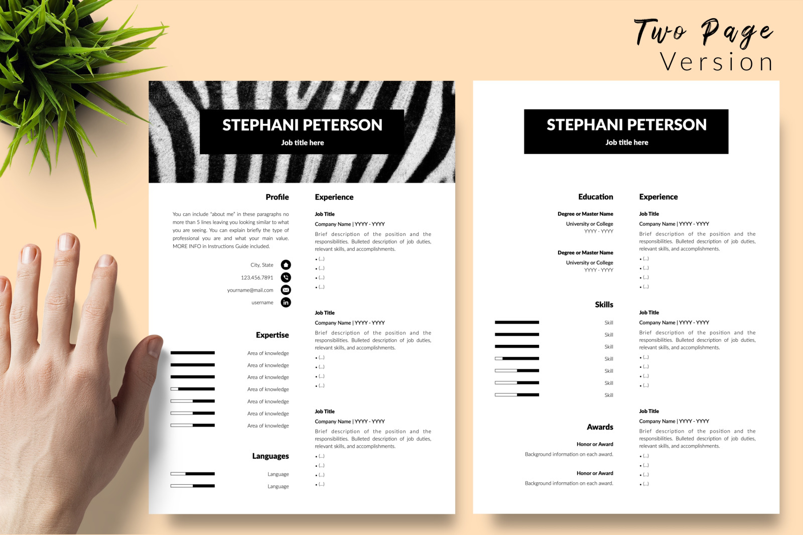 Animal Care Resume Template for Microsoft Word &amp; Apple Pages // Stephani Peterson CV Design Template