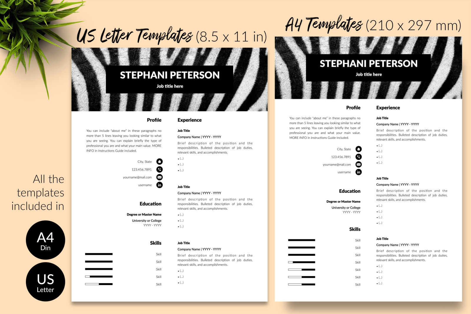 Animal Care Resume Template for Microsoft Word &amp; Apple Pages // Stephani Peterson CV Design Template