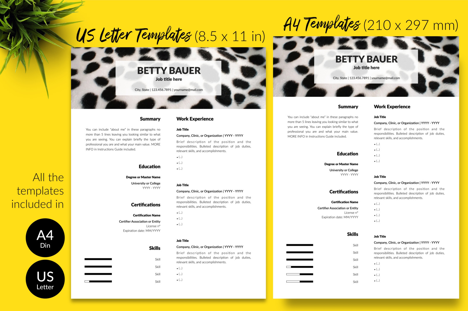 Animal Care Resume Template for Microsoft Word &amp; Apple Pages // Betty Bauer CV Design Template