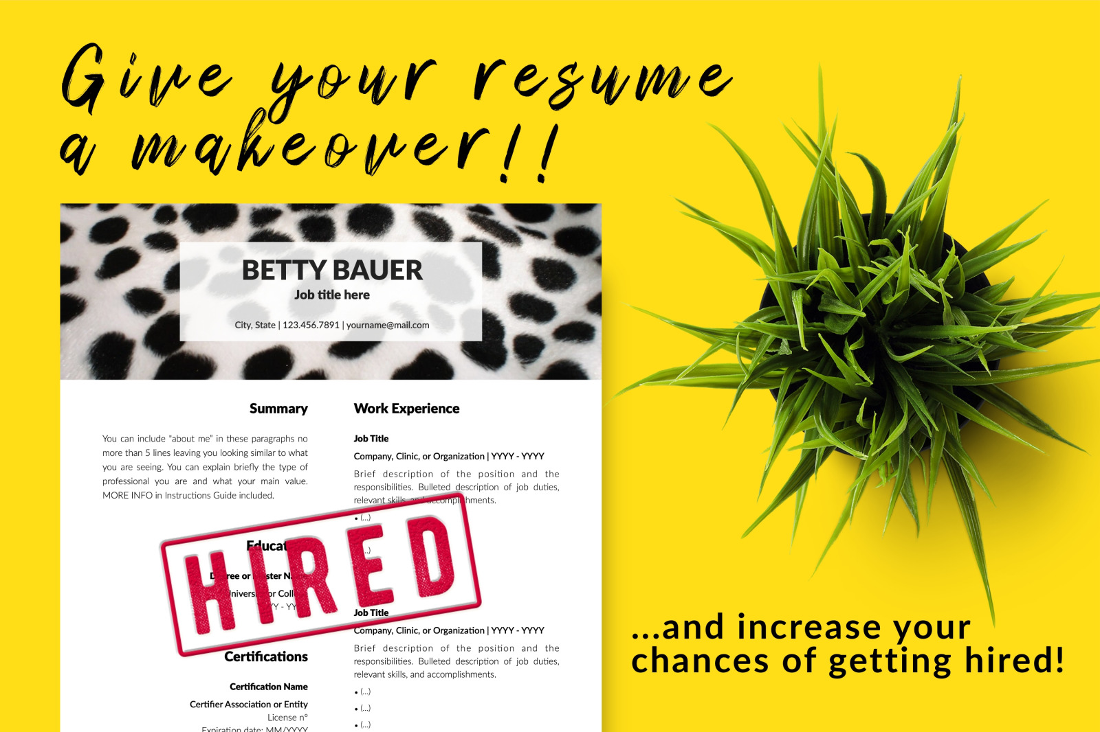 Animal Care Resume Template for Microsoft Word &amp; Apple Pages // Betty Bauer CV Design Template