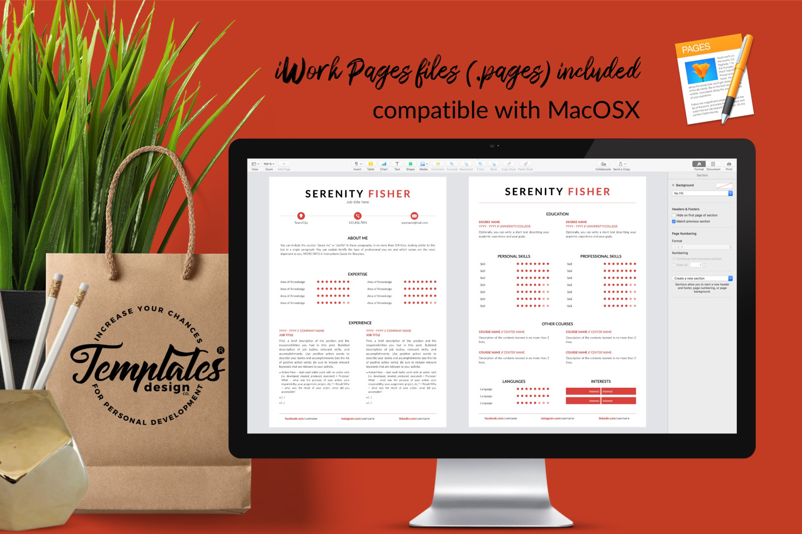 Modern Resume Template for Microsoft Word &amp; Apple Pages // Serenity Fisher CV Design Template