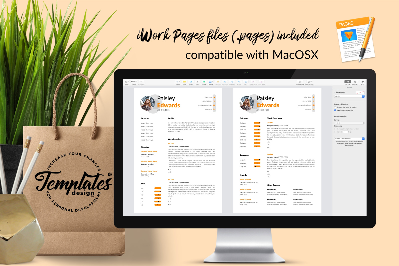 Modern Resume Template for Microsoft Word &amp; Apple Pages // Paisley Edwards CV Design Template