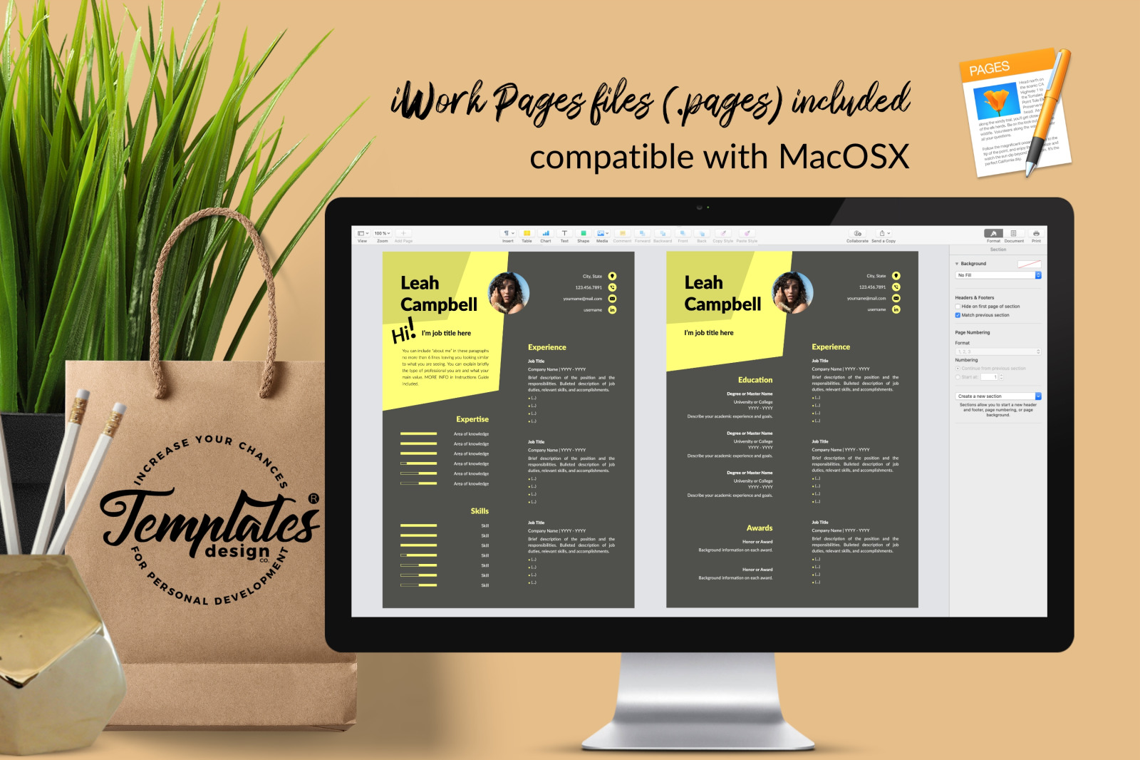 Modern Resume Template for Microsoft Word &amp; Apple Pages // Leah Campbell CV Design Template