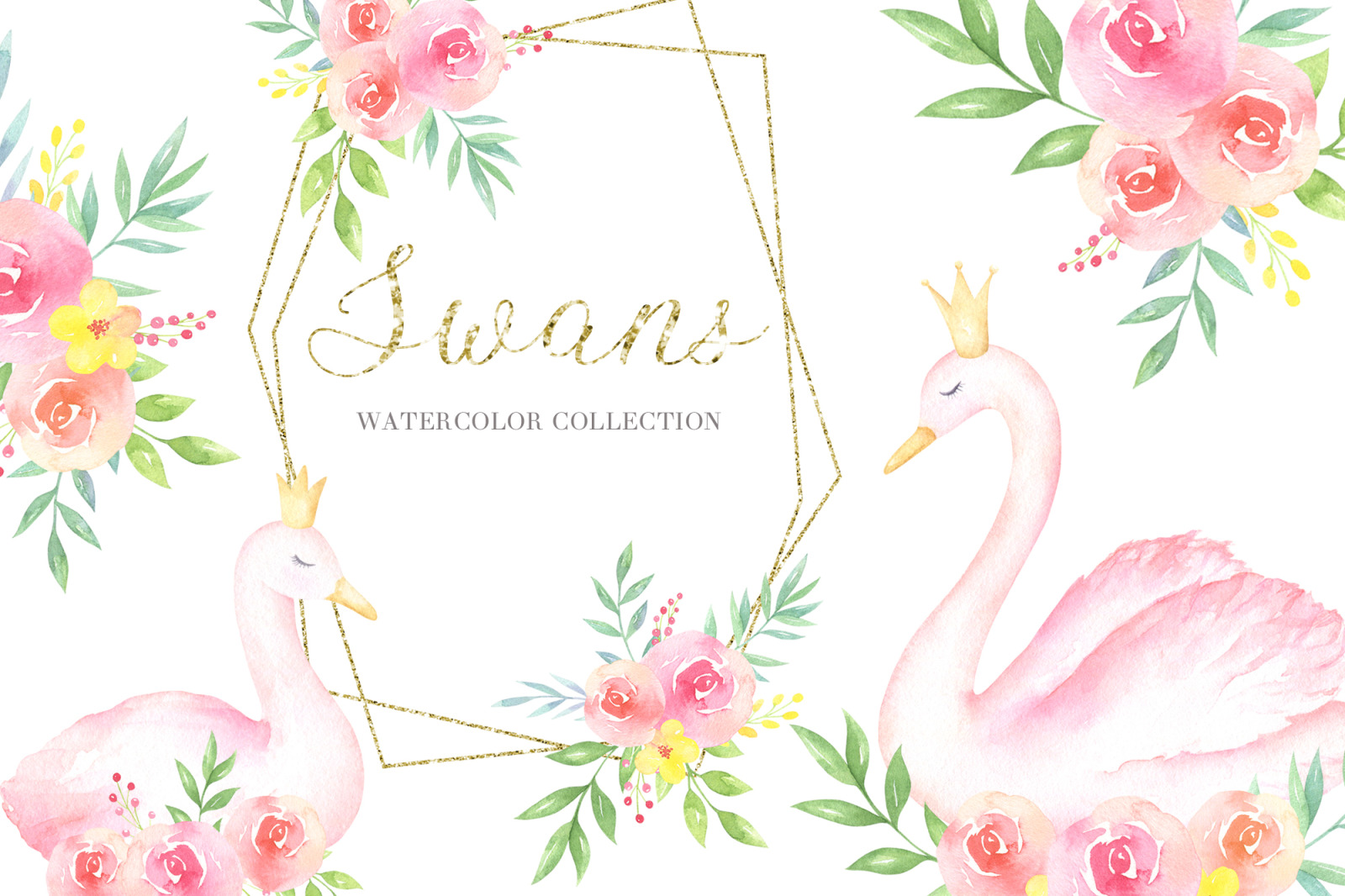 Swans Watercolor Collection Swans Watercolor Collection
