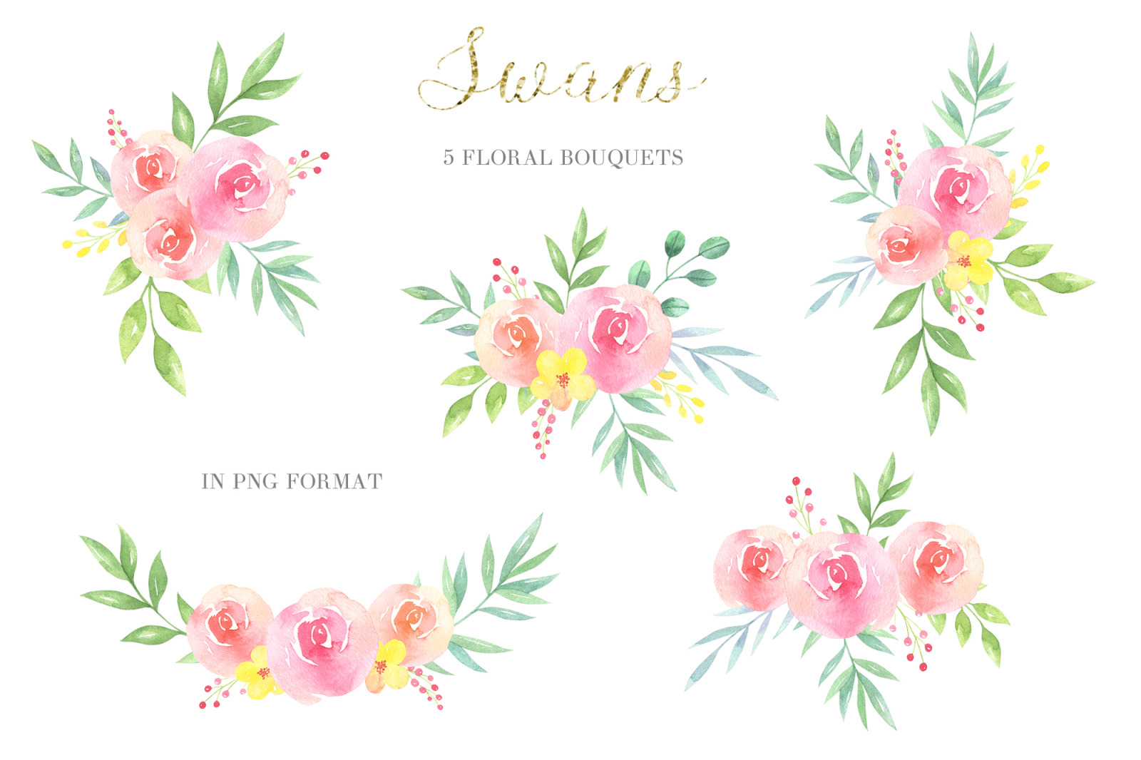 Swans Watercolor Collection Swans Watercolor Collection